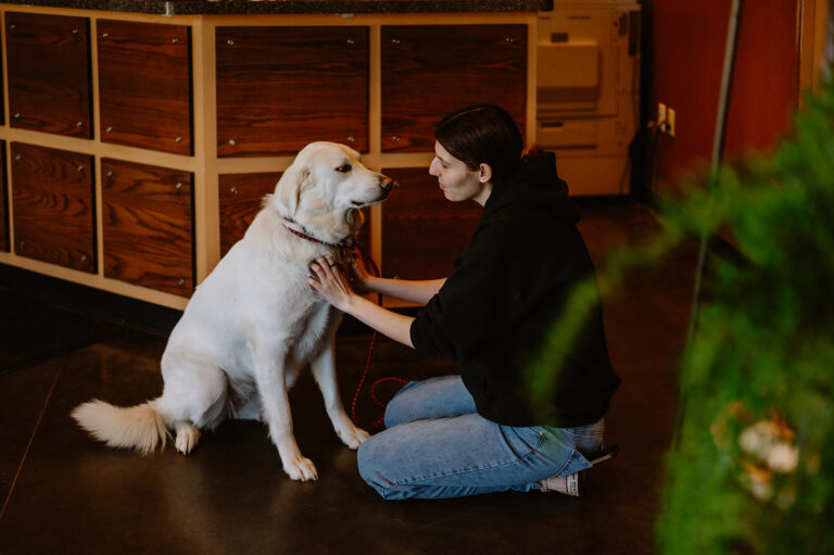 Dog Boarding
